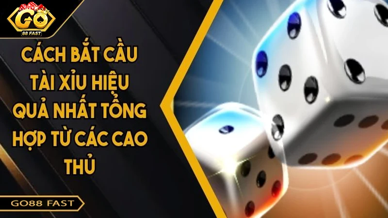 Cách Bắt Cầu Tài Xỉu Hiệu Quả Nhất Tổng Hợp Từ Các Cao Thủ